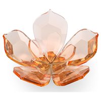 Cristalleria Swarovski Garden Tales in Cristallo 5580028 - 5580028